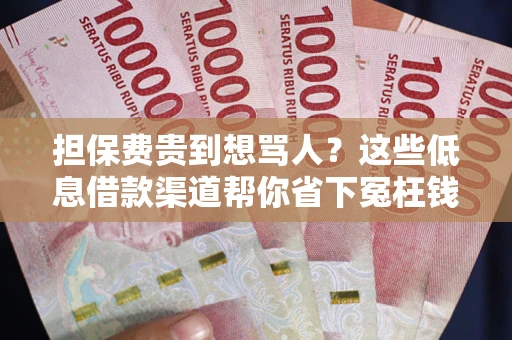 北京担保费贵到想骂人？这些低息借款渠道帮你省下冤枉钱