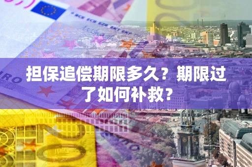北京担保追偿期限多久？期限过了如何补救？