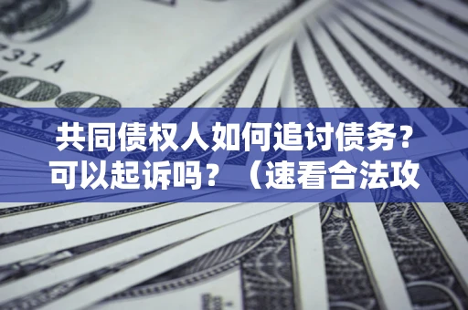 北京共同债权人如何追讨债务？可以起诉吗？（速看合法攻略）